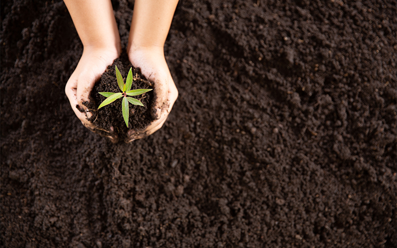 ذخایر در حسابداری و تفاوتشان با اندوخته 1 تفاوت ذخیره و اندوخته در حسابداری